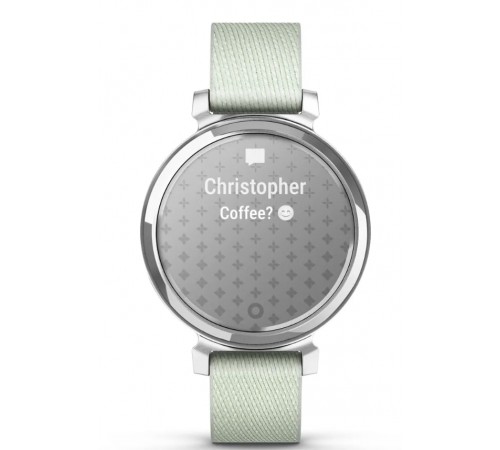 Смарт-годинник Garmin Lily 2 Silver with Sage Gray Nylon Band (010-02839-63) Смарт-годинник Garmin Lily 2 Silver with Sage Gray Nylon Band (010-02839-63)