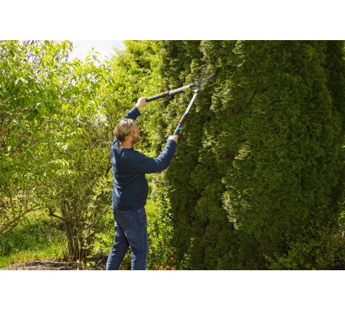 Ножиці для живоплоту Gardena TeleCut телескопічні (12304-20.000.00)