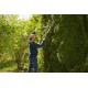 Ножиці для живоплоту Gardena TeleCut телескопічні (12304-20.000.00)