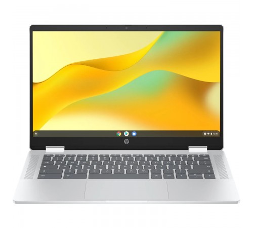 Ноутбук HP Chromebook x360 (198828598608) Silver