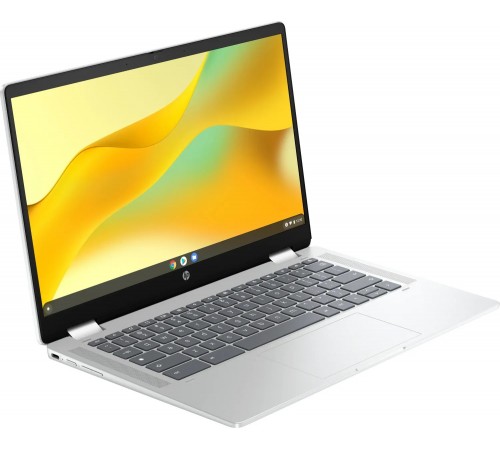 Ноутбук HP Chromebook x360 (198828598608) Silver