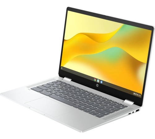 Ноутбук HP Chromebook x360 (198828598608) Silver
