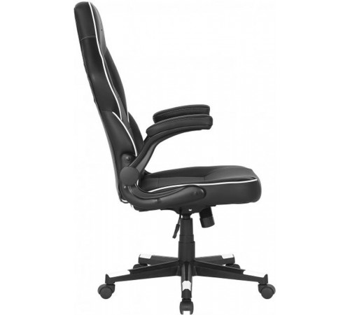 Крісло для геймерів 2E Gaming Hebi Black/White (2E-GC-HEB-BKWT)