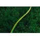 Шланг 2Е AquaFlex Green 1/2" 20м (2E-GHE12GN20)