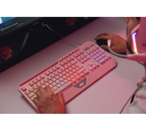 Клавіатура 2E Gaming KG315 RGB USB Pink Ukr (2E-KG315UPK) Клавіатура 2E Gaming KG315 RGB USB Pink Ukr (2E-KG315UPK)