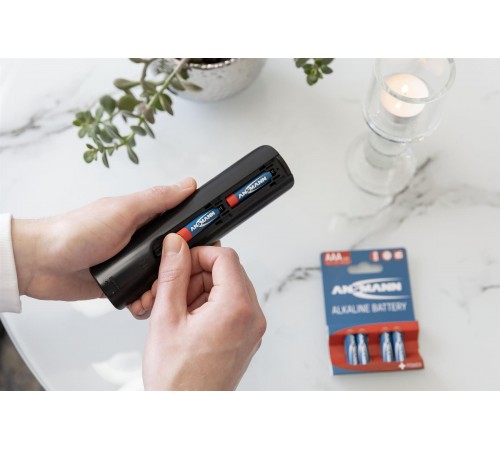 Батарейка Ansmann AAA/LR03 BL 4шт Батарейка Ansmann AAA/LR03 BL 4шт