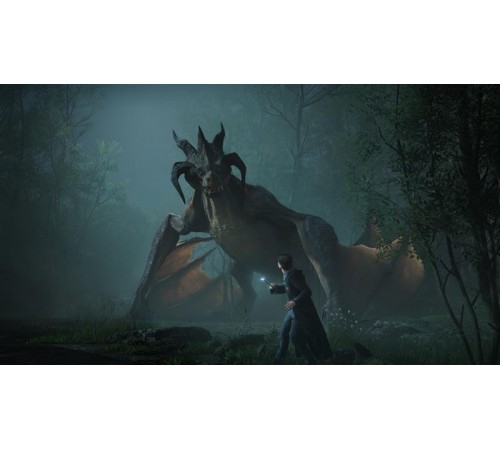 Гра Hogwarts Legacy для PlayStation 5, Russian Subtitles, Blu-Ray диск (5051895413425) Гра Hogwarts Legacy для PlayStation 5, Russian Subtitles, Blu-Ray диск (5051895413425)