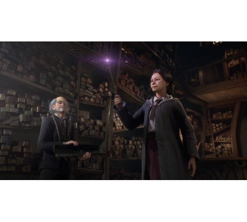 Гра Hogwarts Legacy для PlayStation 5, Russian Subtitles, Blu-Ray диск (5051895413425) Гра Hogwarts Legacy для PlayStation 5, Russian Subtitles, Blu-Ray диск (5051895413425)