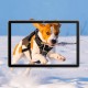 Захисне скло BeCover для Blackview Tab 70 WiFi 10.1" (712823)