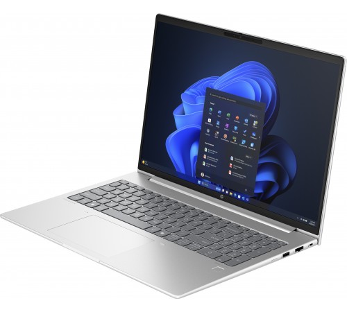 Ноутбук HP ProBook 465 G11 (901H4AV_V2) Silver Ноутбук HP ProBook 465 G11 (901H4AV_V2) Silver