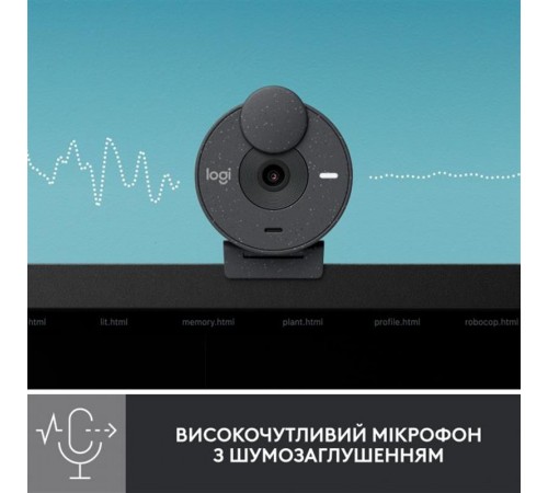 Веб-камера Logitech Brio 300 Graphite (960-001436)