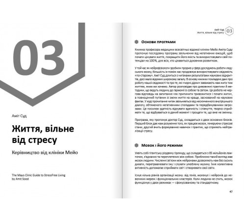 Щастя. Здоровий і щасливий рік. Збірник самарі + Аудіокнижка Щастя. Здоровий і щасливий рік. Збірник самарі + Аудіокнижка