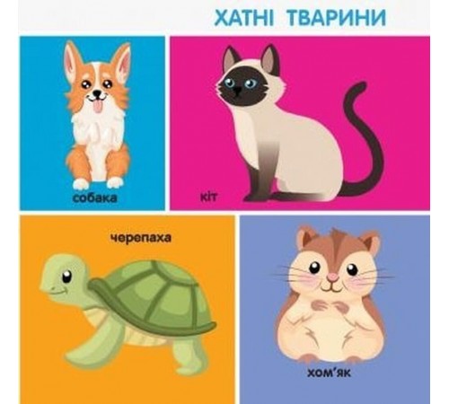 Смарт-книги. 100 перших слів