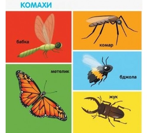 Смарт-книги. 100 перших слів