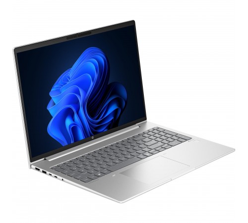 Ноутбук HP ProBook 465 G11 (9Y7C7ET) Silver