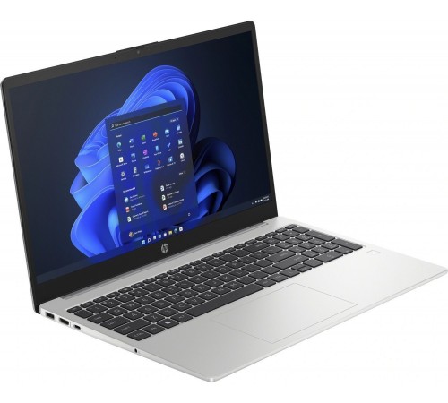 Ноутбук HP 255 G10 (A23NFEA) Turbo Silver