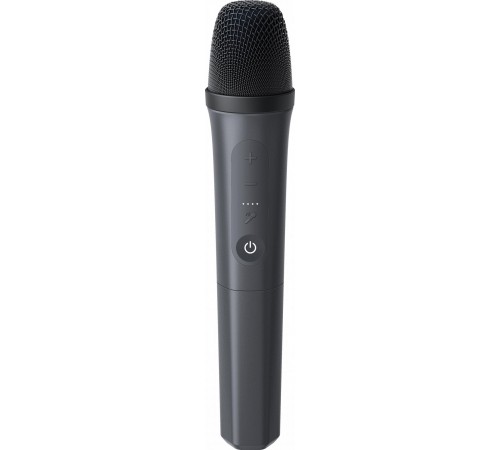 Акустична система Anker SoundCore Rave 3S Black (A31A3012)