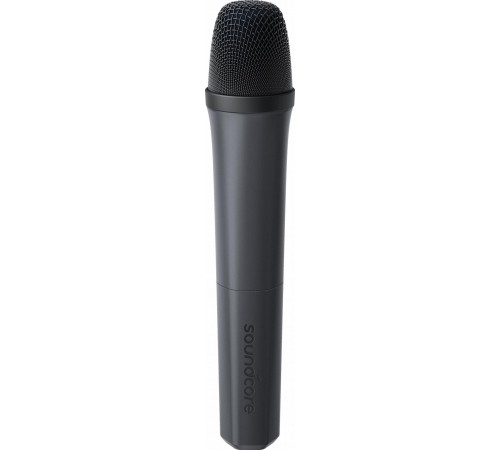Акустична система Anker SoundCore Rave 3S Black (A31A3012)