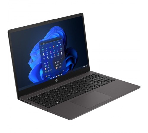 Ноутбук HP 255 G10 (A3DT2ES) Dark Ash Silver