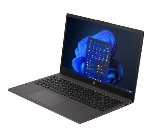 Ноутбук HP 255 G10 (A3DT2ES) Dark Ash Silver