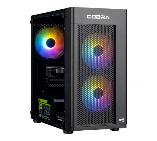 Персональний комп`ютер COBRA Advanced (A55.16.S5.55.22285)