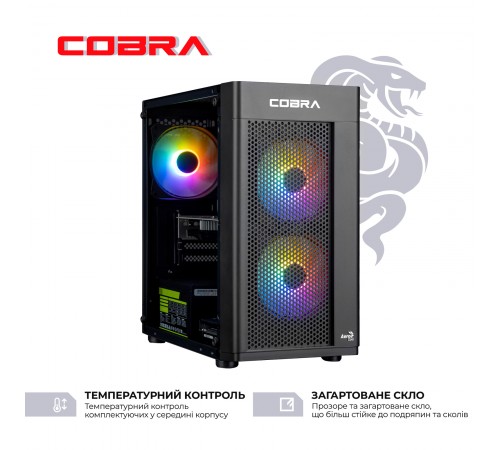 Персональний комп`ютер COBRA Advanced (A55.16.S5.55.22285)