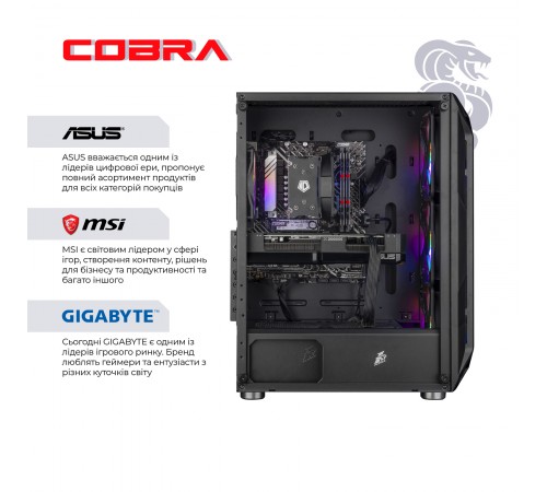 Персональний комп'ютер COBRA Advanced (A55.32.S10.55.22322)