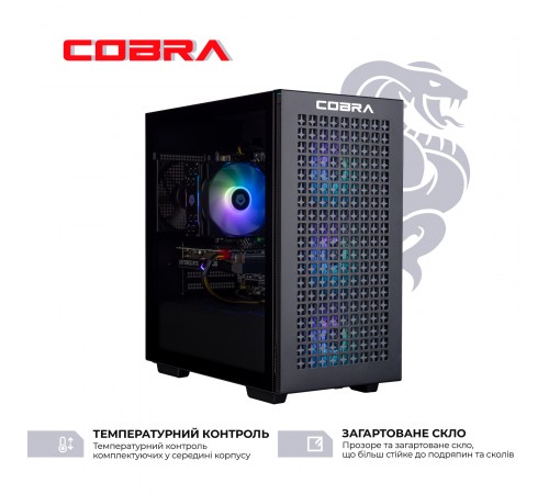 Персональний комп`ютер COBRA Gaming (A76.64.S10.47.17415) Персональний комп`ютер COBRA Gaming (A76.64.S10.47.17415)