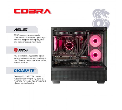 Персональний комп`ютер COBRA Gaming (A96X.64.S10.57T.19904)