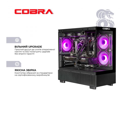 Персональний комп`ютер COBRA Gaming (A96X.64.S10.57T.19904)