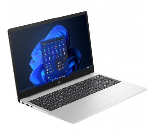 Ноутбук HP 250 G10 (AD1X7ET) Silver