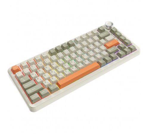 Клавіатура бездротова Ajazz AK820 Max Flying Fish Switch Retro Colour (AK820MAX-FF-R) Клавіатура бездротова Ajazz AK820 Max Flying Fish Switch Retro Colour (AK820MAX-FF-R)
