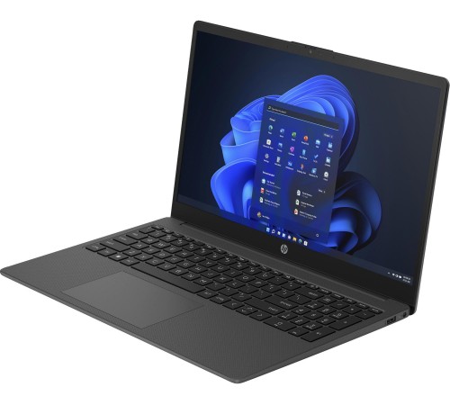 Ноутбук HP 255 G10 (AL0B7AT) Dark Ash Silver