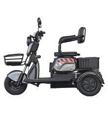 Електроскутер Maxxter Ant Li Gray