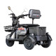 Електроскутер Maxxter Ant Li Gray