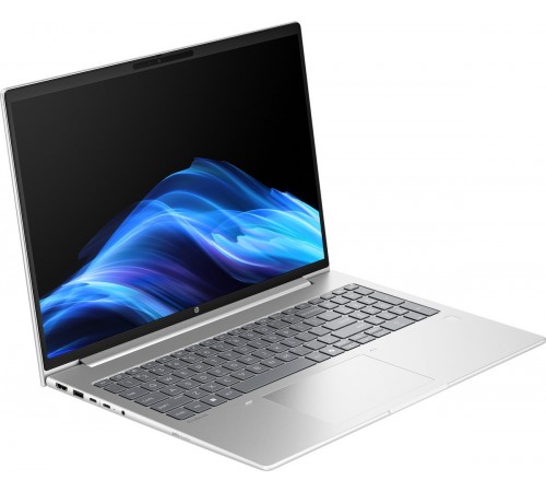 Ноутбук HP ProBook 4 G1ah 16 (AW8Q5AV_V8) Silver