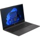 Ноутбук HP 250 G10 (B39RJAT) Dark Ash Silver