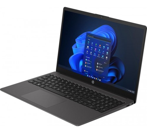 Ноутбук HP 250 G10 (B39RJAT) Dark Ash Silver