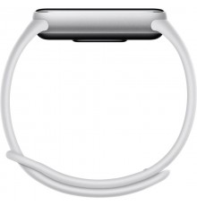 Фiтнес-браслет Xiaomi Smart Band 10 Silver (BHR07PSGL)