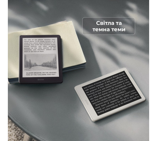 Електронна книга BOOX Go 6 (Gen II) Stone