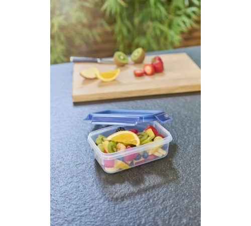 Сковорода Tefal Renew 26 см + контейнер 0.8л Tefal Master Seal Eco (C4250543)