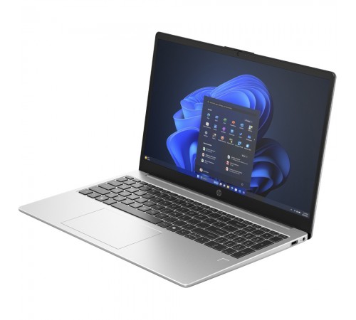 Ноутбук HP 250R G10 (CA0S3AT) Silver
