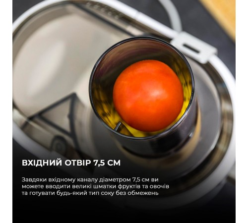 Соковижималка Cecotec Strong Titanium 19000 XXL CCTC-04110 (8435484041102)