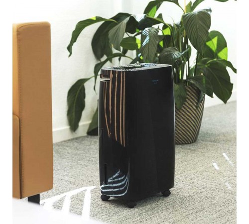 Осушувач повітря Cecotec Dehumidifier BigDry4000 Expert Black (CCTC-05607)
