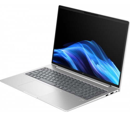 Ноутбук HP ProBook 4 G1ah 16 (D4VG3ET) Silver