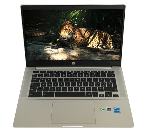 Ноутбук HP Pro c640 G2 Chromebook / 14" FullHD IPS / i3-1115G4 / 8GB / 256GB SSD / ChromeOS - Б/в