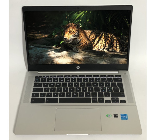 Ноутбук HP Pro c640 G2 Chromebook / 14" FullHD IPS / i3-1115G4 / 8GB / 256GB SSD / ChromeOS - Б/в