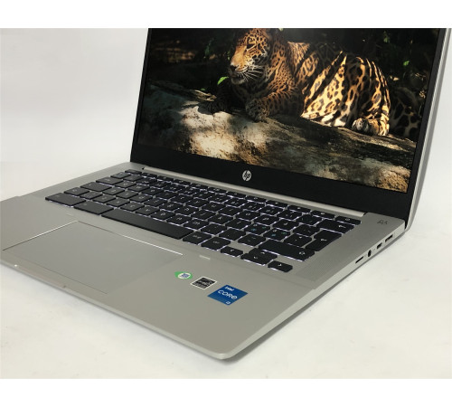 Ноутбук HP Pro c640 G2 Chromebook / 14" FullHD IPS / i3-1115G4 / 8GB / 256GB SSD / ChromeOS - Б/в