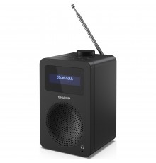 Радіоприймач Sharp DR430BK Black (DR-430(BK))