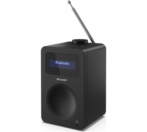 Радіоприймач Sharp DR430BK Black (DR-430(BK))